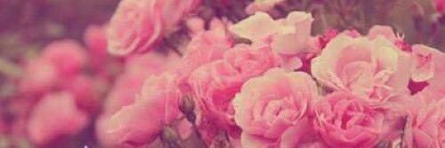 Sweetiesdays's profile banner image