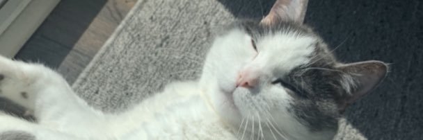 jesscoms's profile banner image