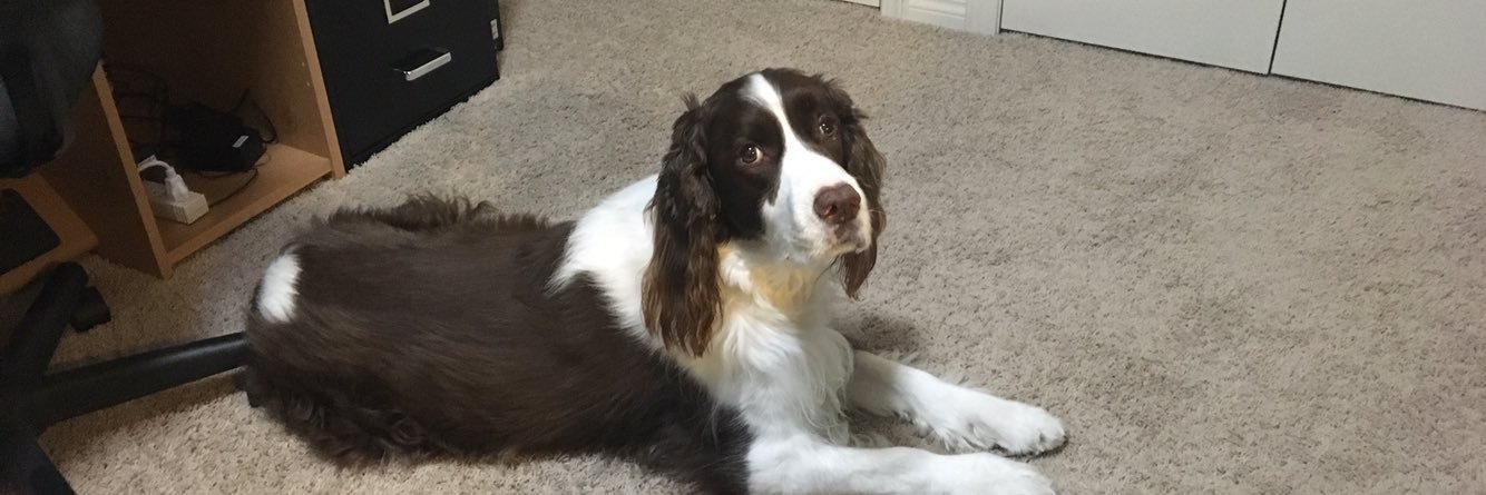 Alyssa Dermott banner