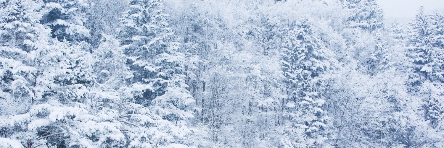 244_domoring's profile banner image