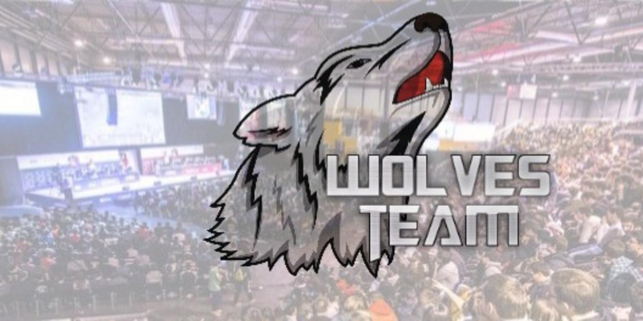 WolveSTeamES's profile banner image