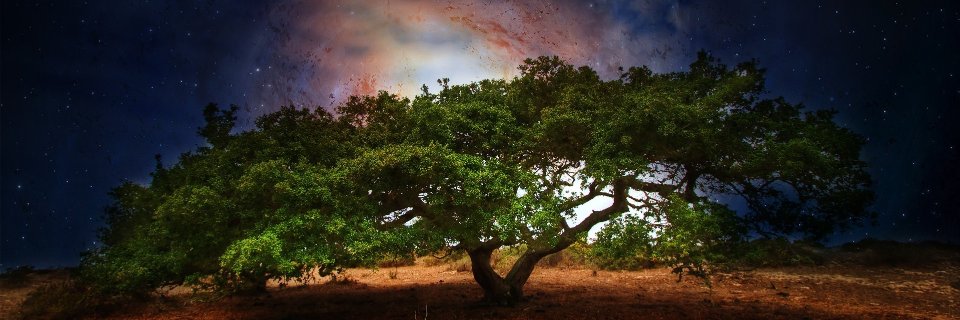 ahab9889's profile banner image