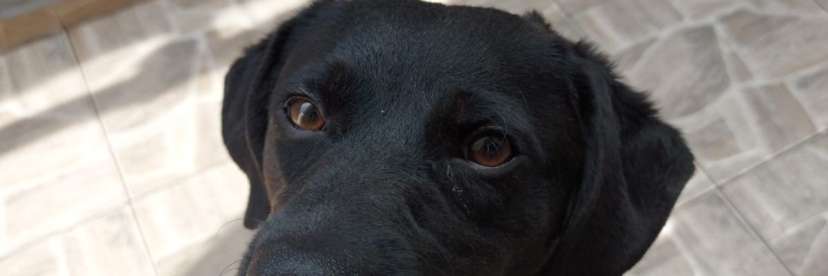 Ananias__F's profile banner image