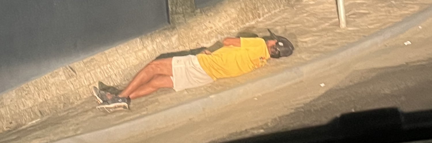 LuanaPassos16's profile banner image
