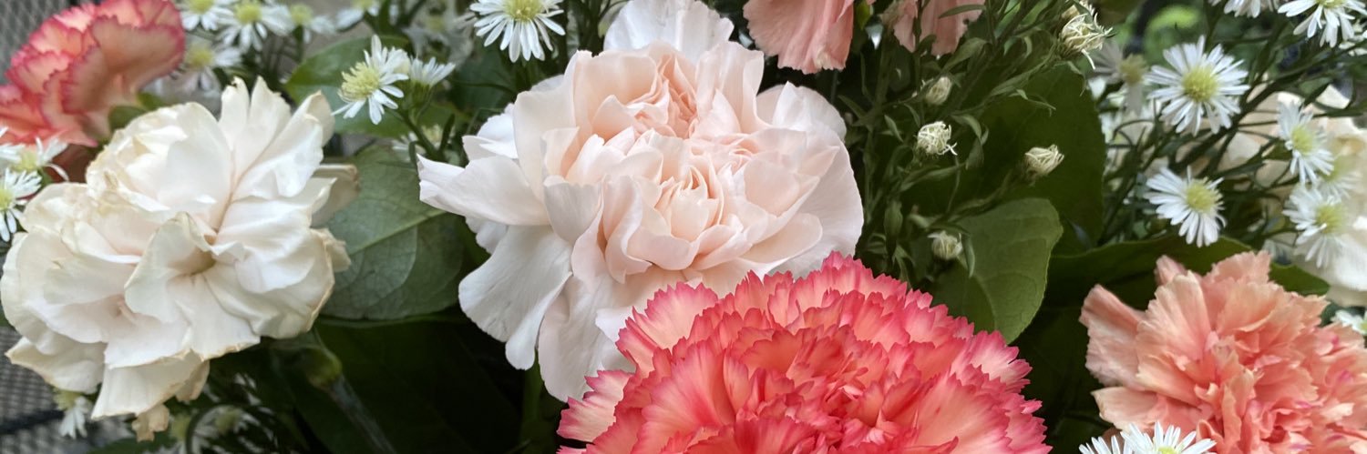 colleen_neely's profile banner image