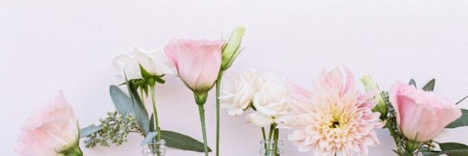 lb_derma's profile banner image