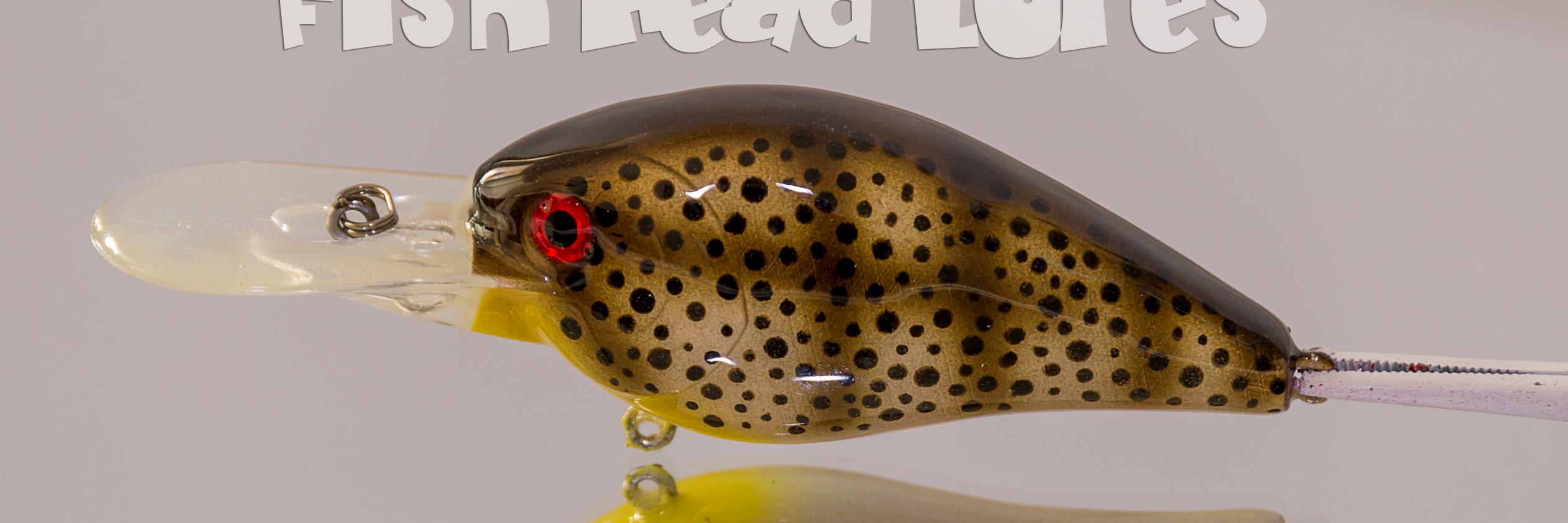 FishheadCustoms's profile banner image