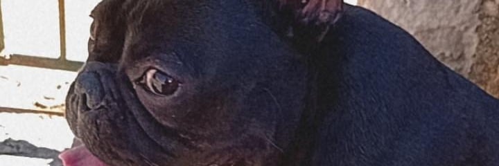 nathanfx17's profile banner image