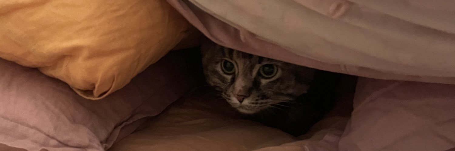 karlyzob's profile banner image