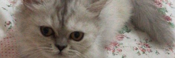 ereneda05 Profile Banner