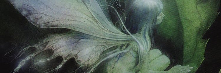 Meg banner