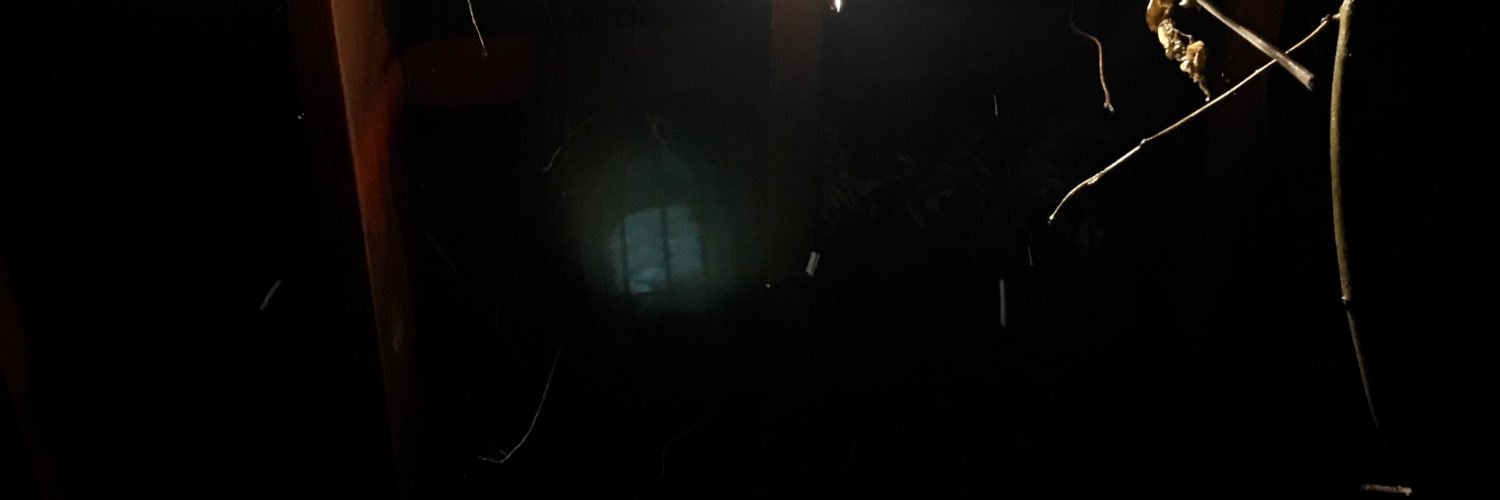 andrew_bui_'s profile banner image