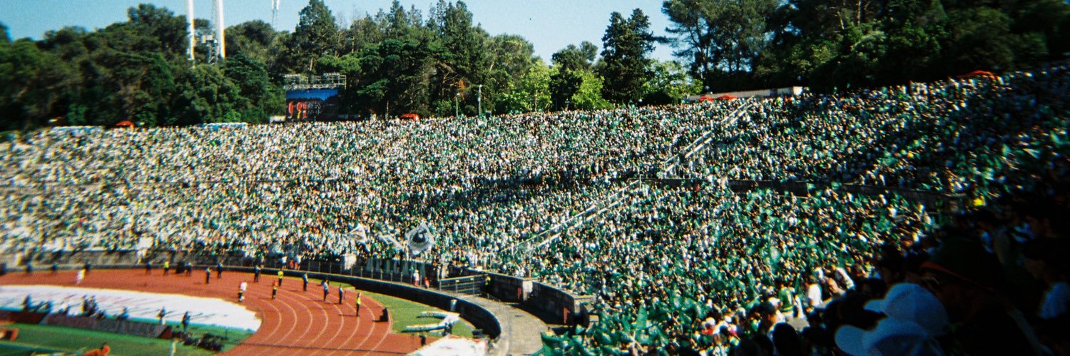 Alessandro Silva banner