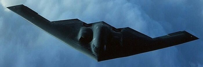 HaveBlue Dog Mom banner