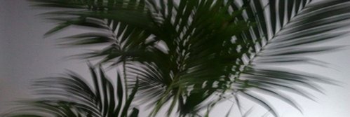 DrGoodballs's profile banner image