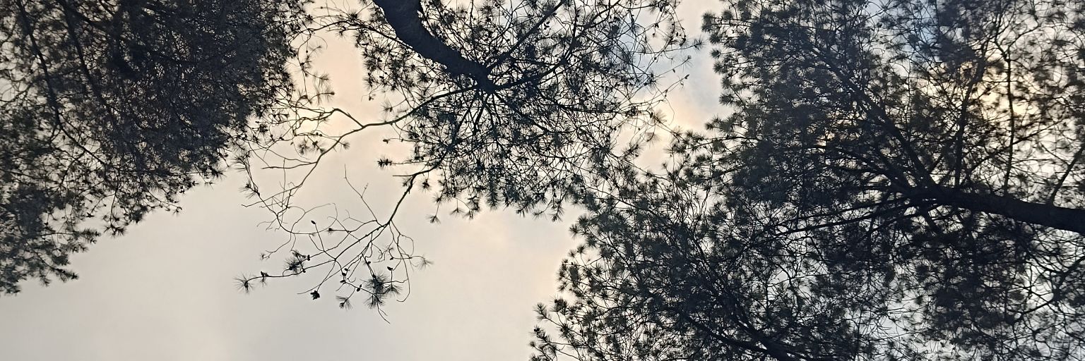 Whiewi43's profile banner image