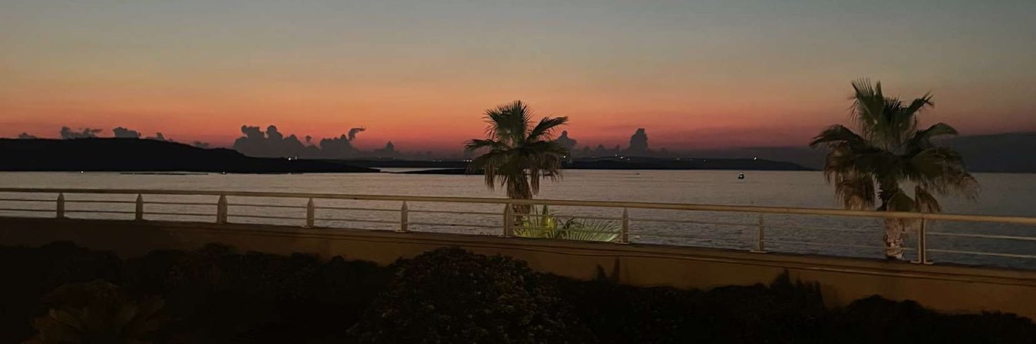 CarlaVidoni's profile banner image