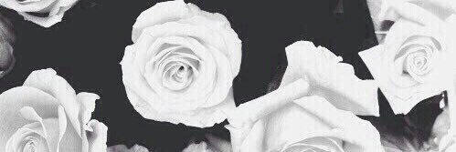 Mlsk_1's profile banner image