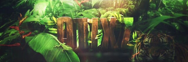 Atixzable's profile banner image