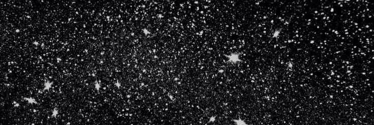 NikkiSweetman's profile banner image