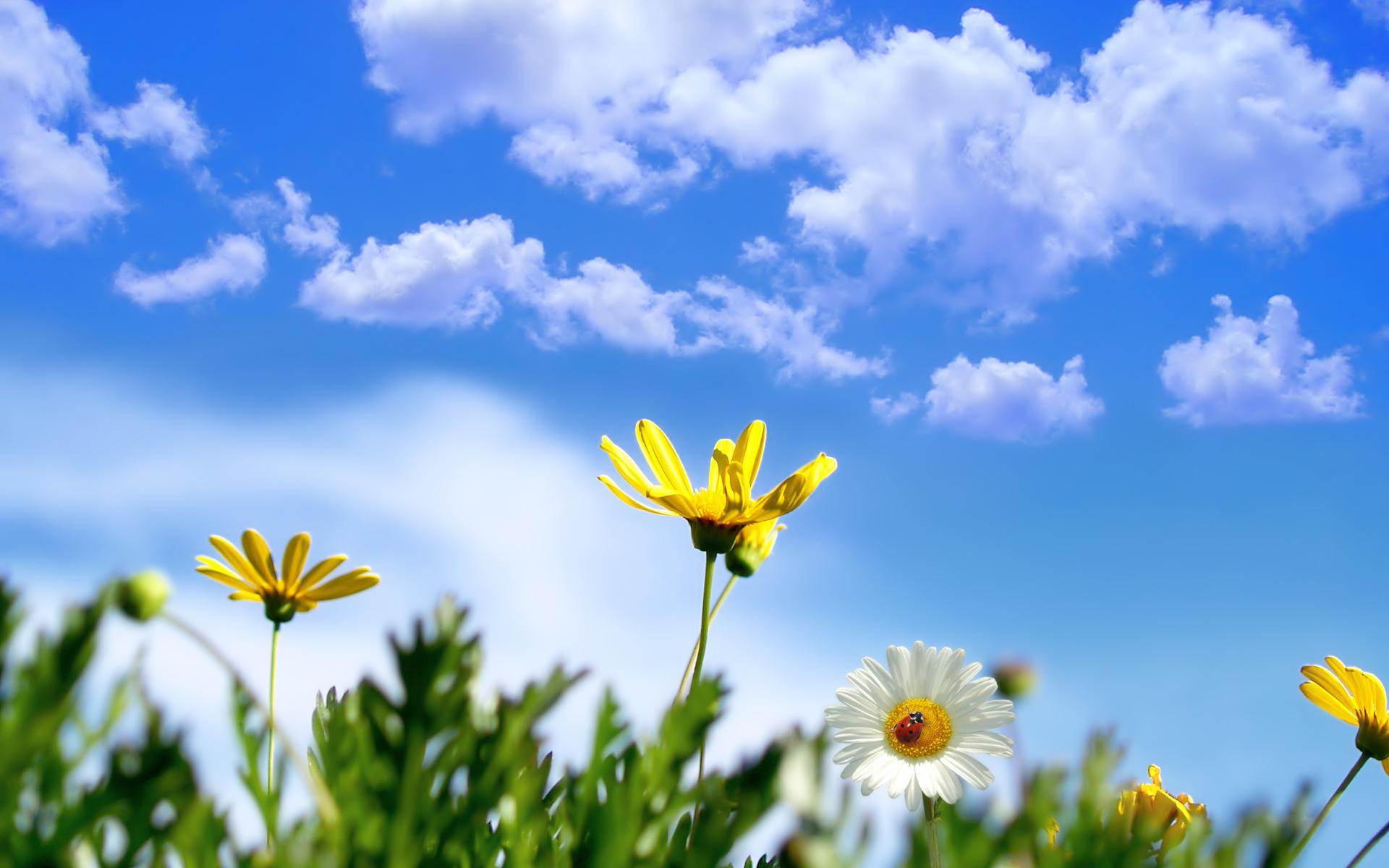 Junina_5913's profile banner image