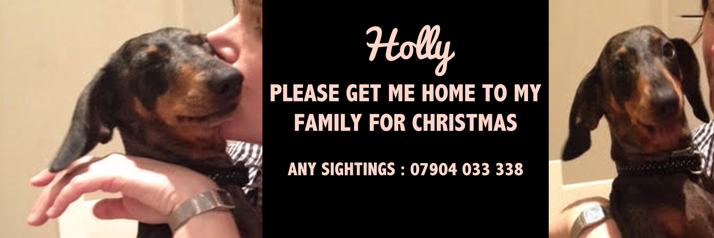 Get_Holly_Home's profile banner image
