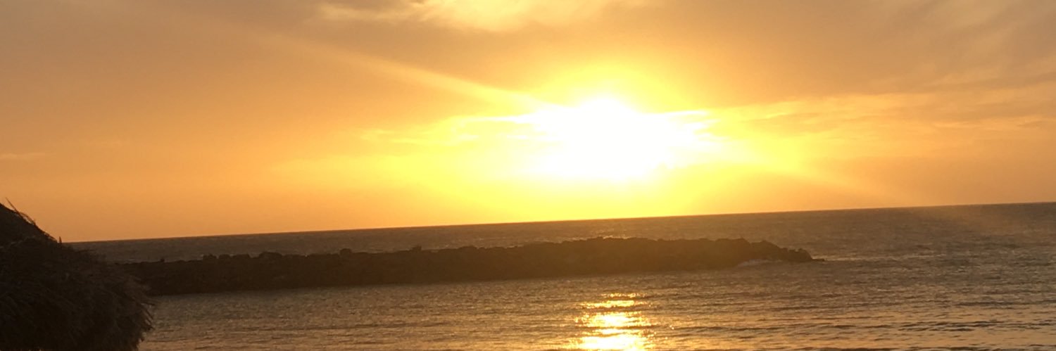 AnoukDerie's profile banner image