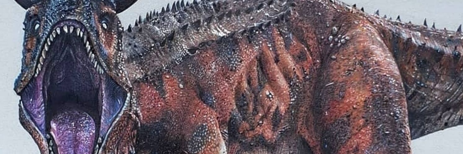 JacopoBST's profile banner image