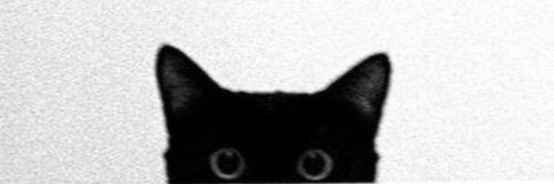 goodmorningform's profile banner image