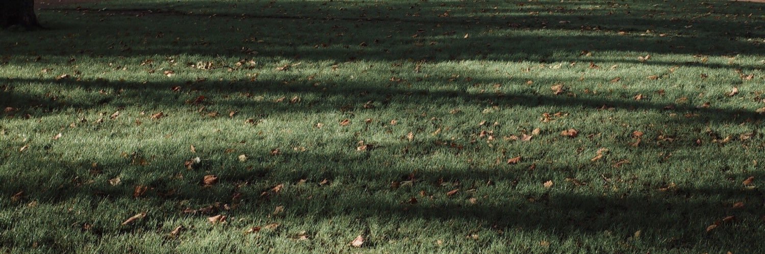 Shepherdssong_'s profile banner image