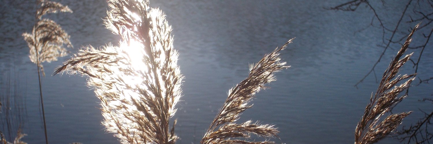 qwesye's profile banner image