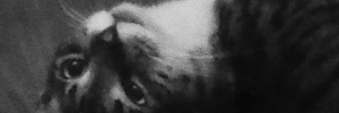 Rivas2498's profile banner image