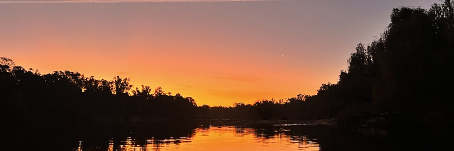 Daniel Ingham banner