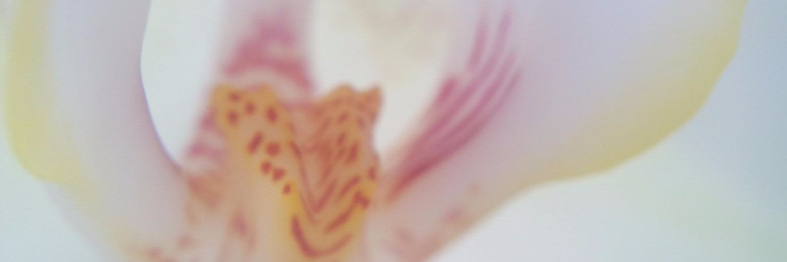 JmMaju's profile banner image