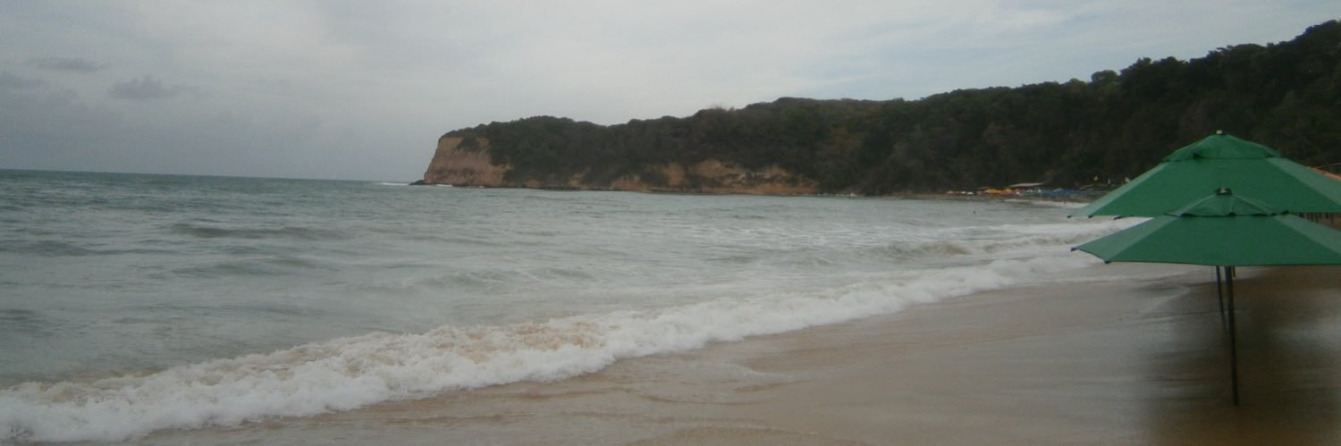 Luli banner