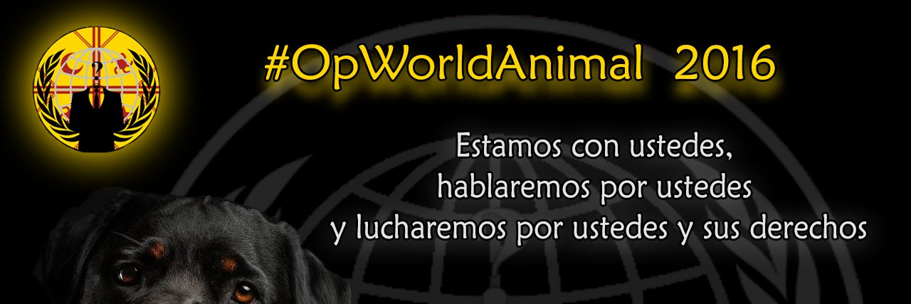 AnonTemuco's profile banner image