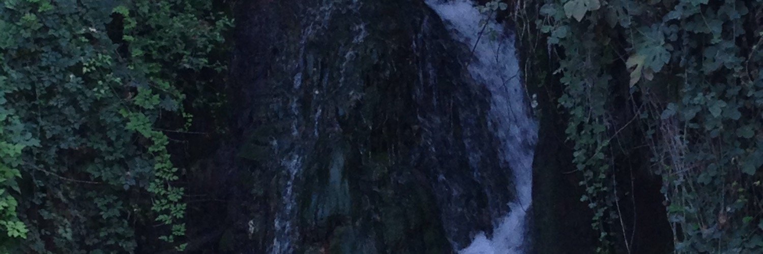gurup1's profile banner image