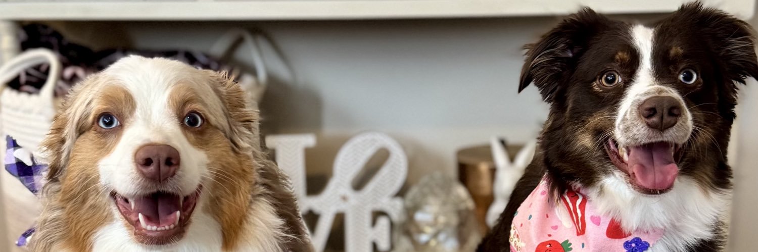 Gottii❄️ banner