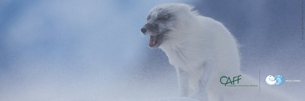 CAFF_Arctic Profile Banner