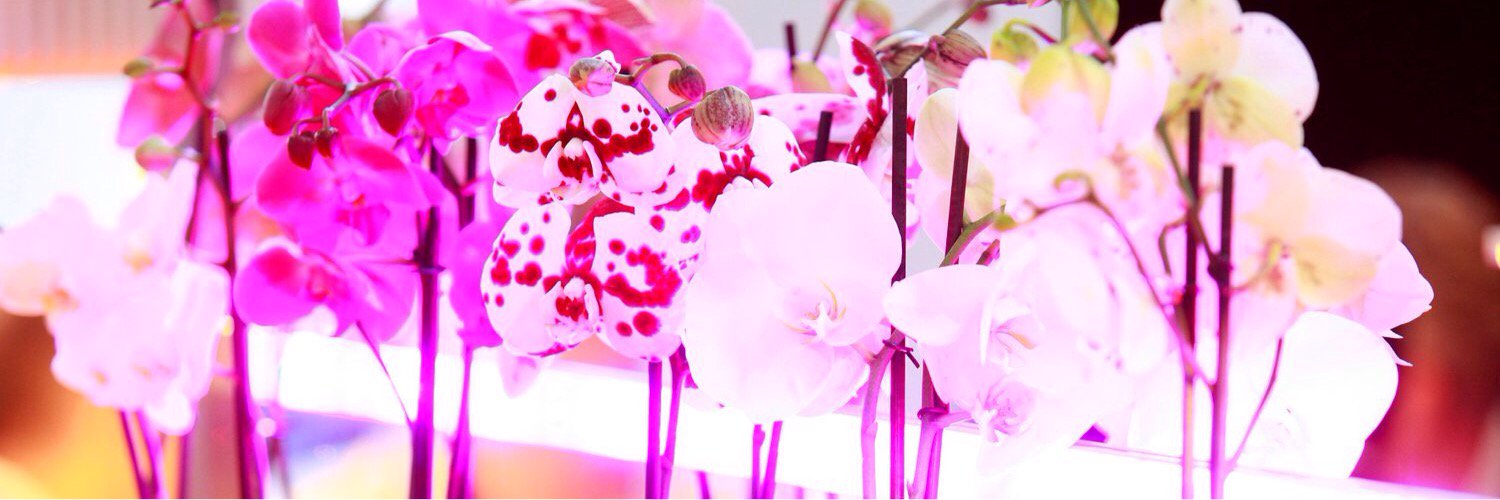 DreschlerM's profile banner image