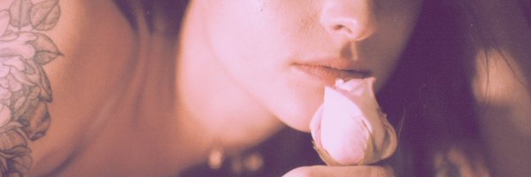 tigerdarrow Profile Banner