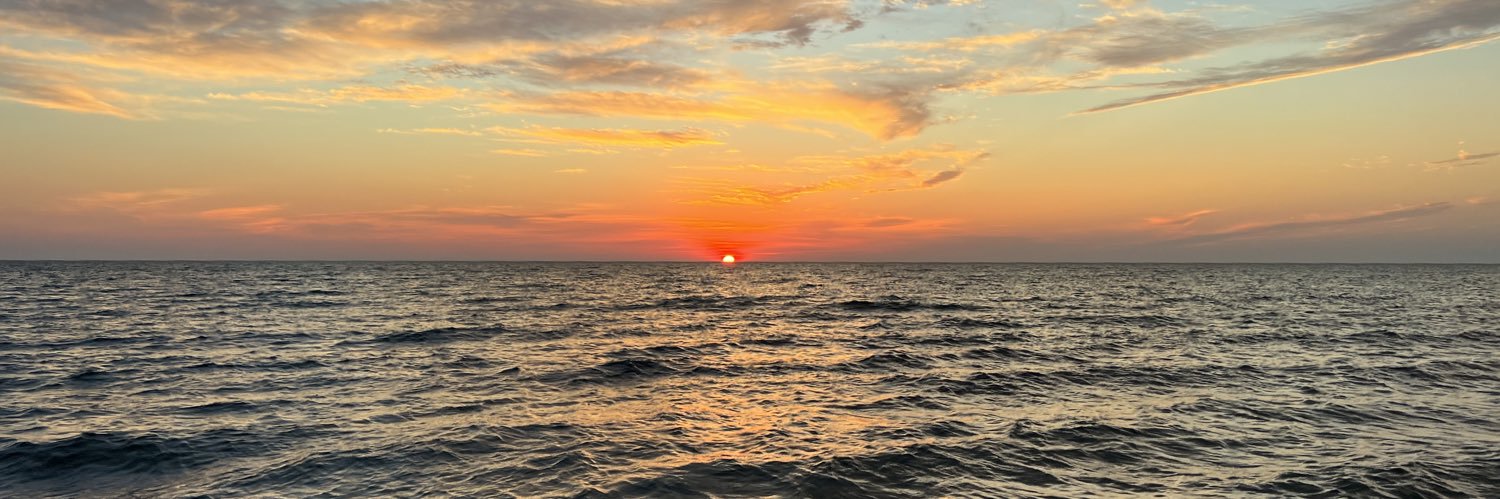 maggie🤦🏻‍♀️ banner