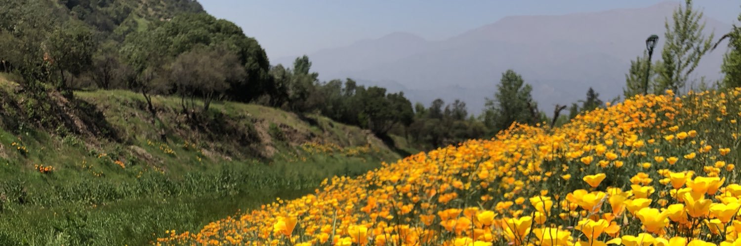 Restaurant Boragó banner
