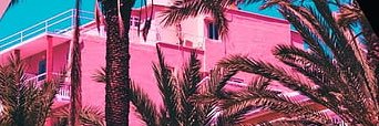 WilloRay1's profile banner image