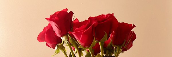 LewWillie Profile Banner