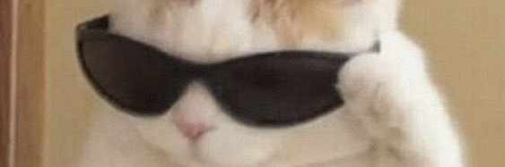 sleepyspyro's profile banner image