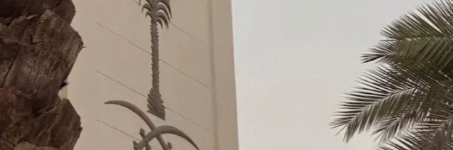 x509v's profile banner image