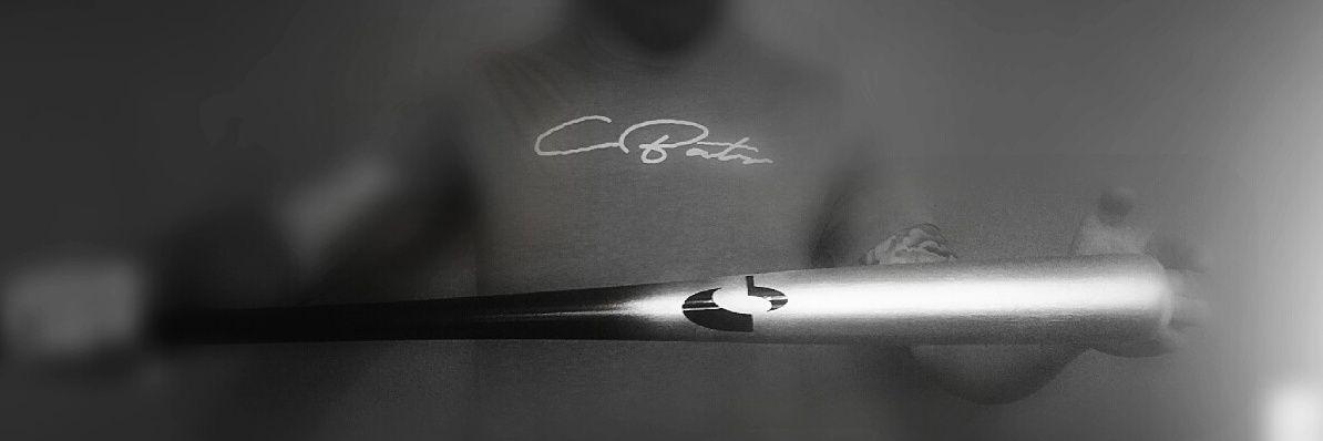 Chameleonbats's profile banner image