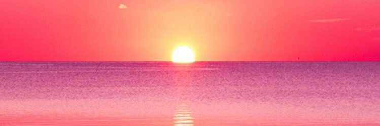 Gemma banner