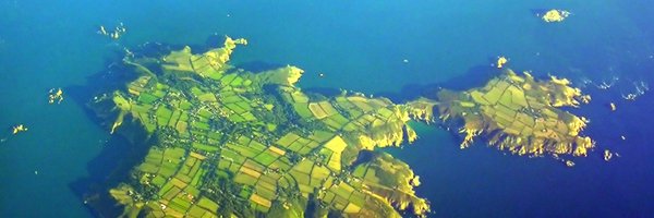 SarkLife Profile Banner